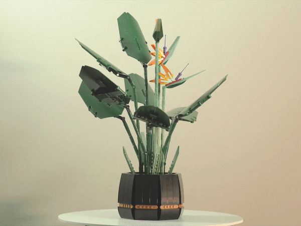 rotating gif of the plant