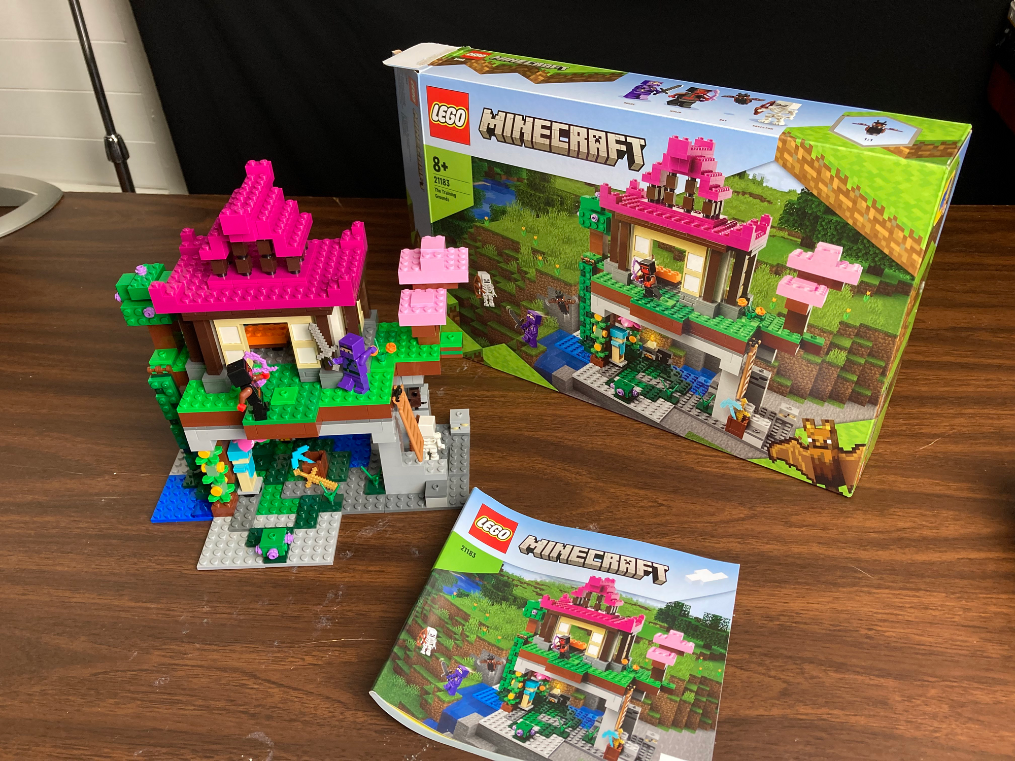 stamme Andre steder rygte LEGO Minecraft: The Training Grounds (Review)